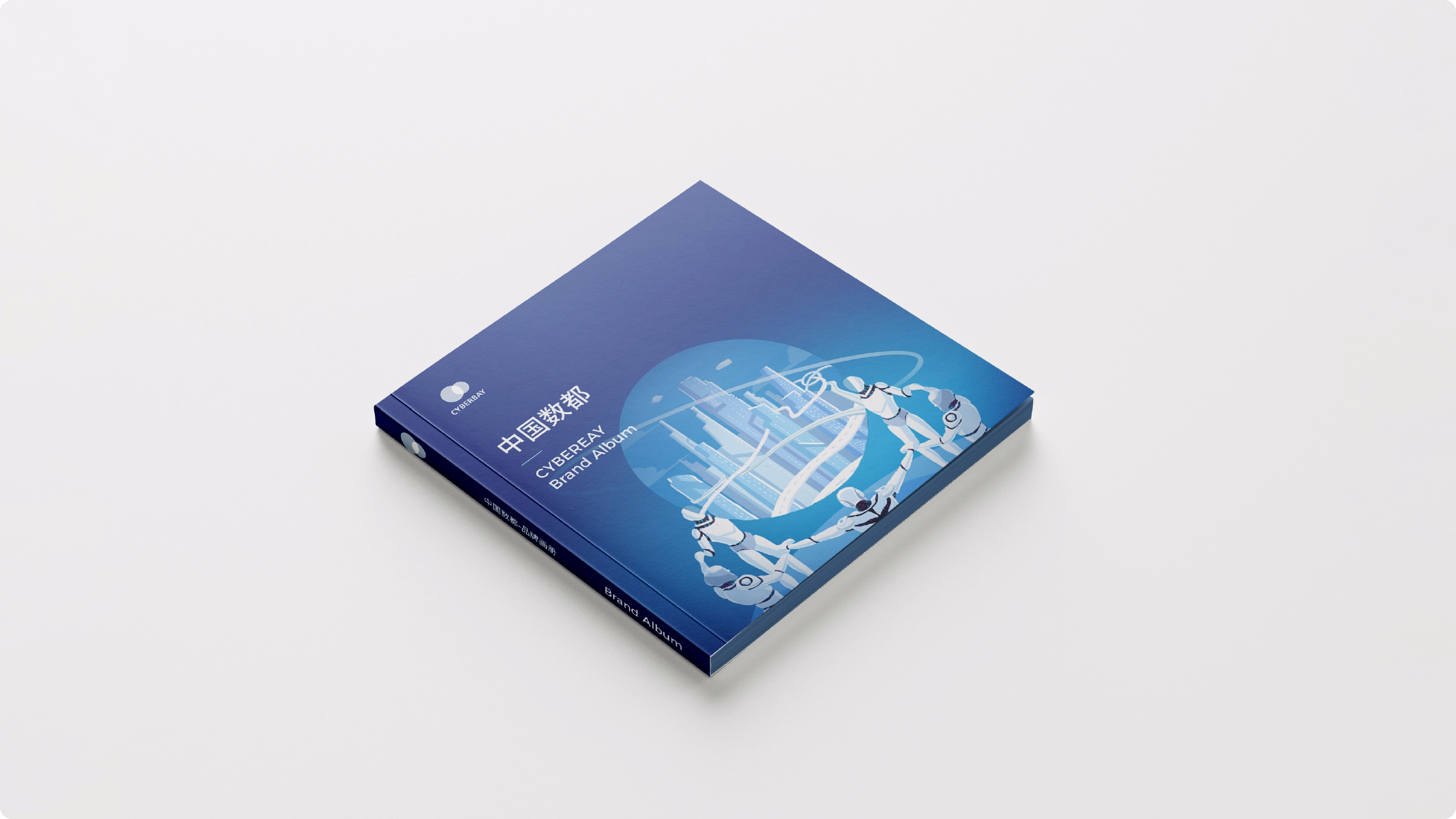 中国数都案例展示图16