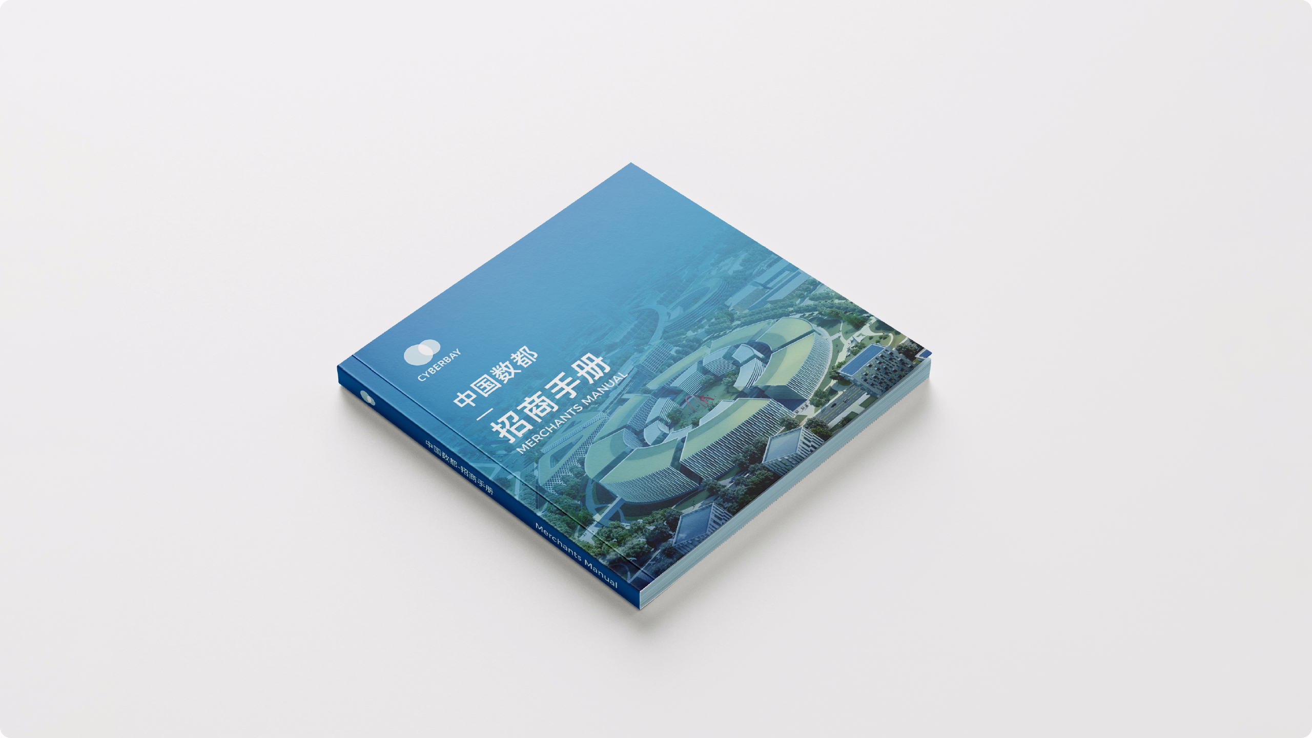 中国数都案例展示图14