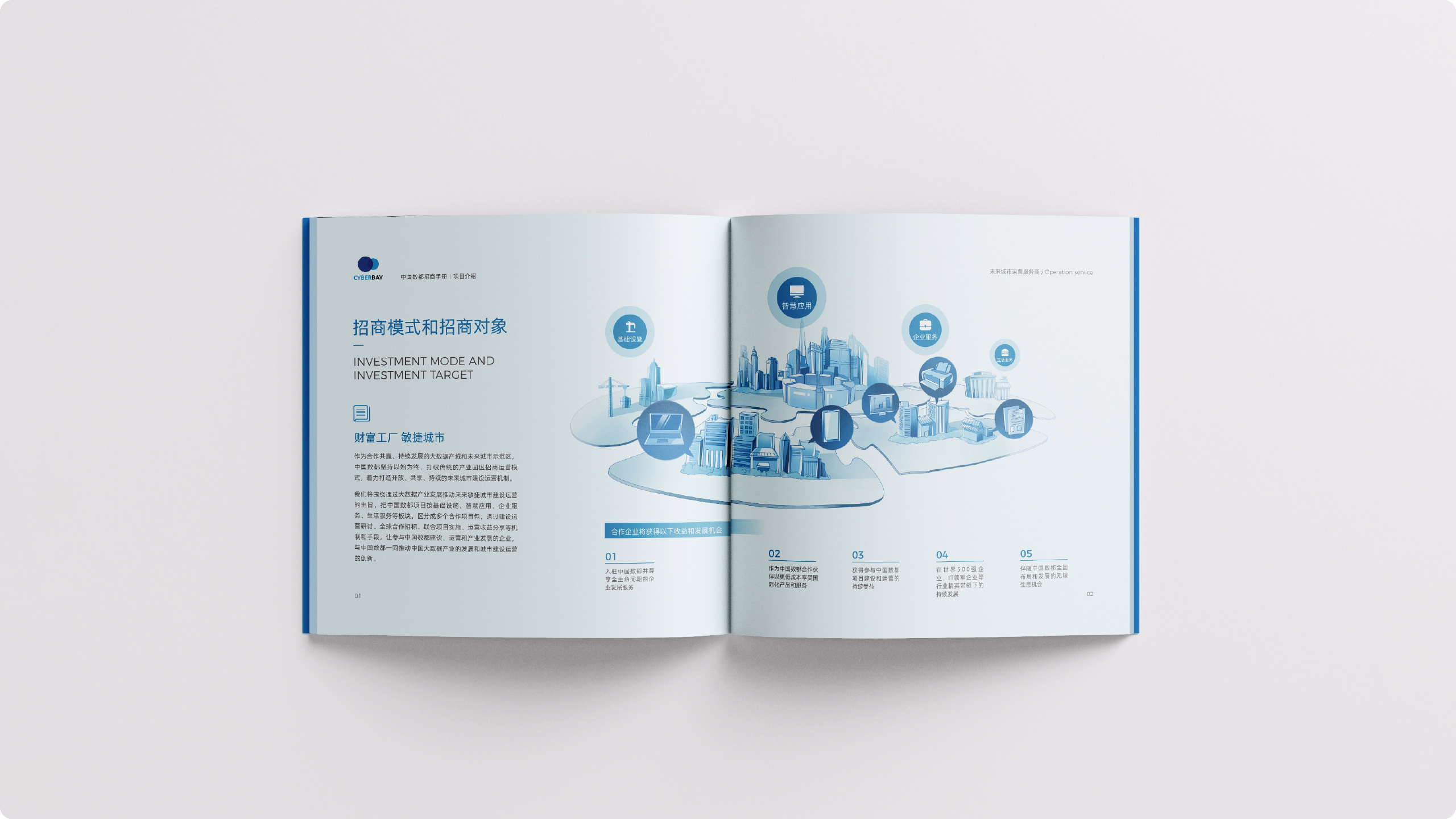 中国数都案例展示图16