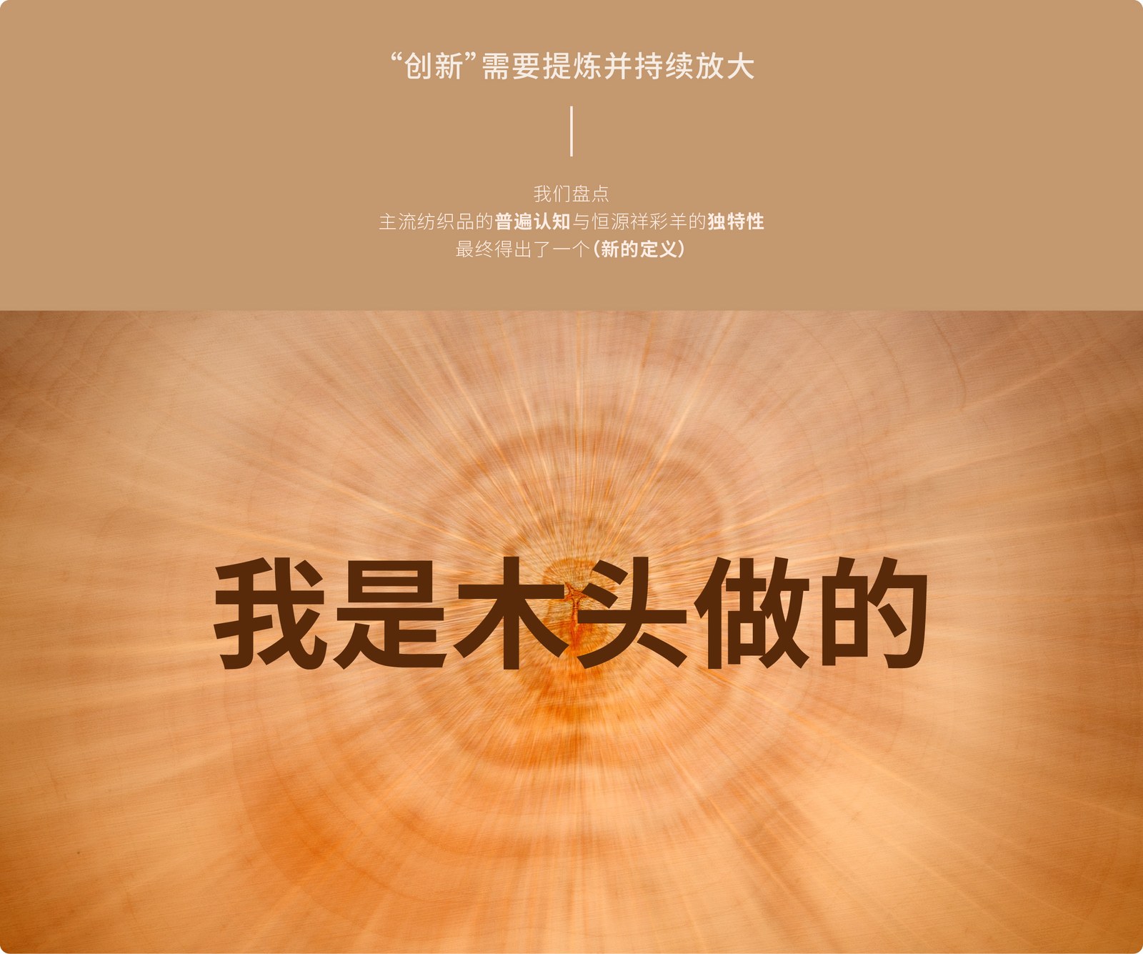 恒源祥案例展示图05