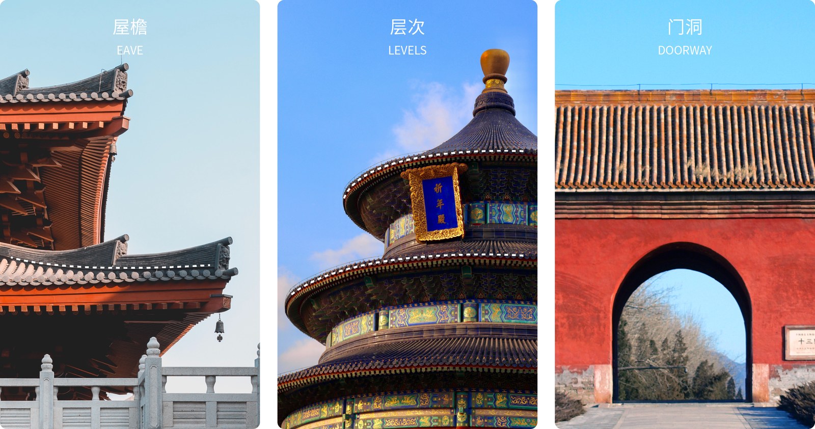 国泰通宇案例展示图05