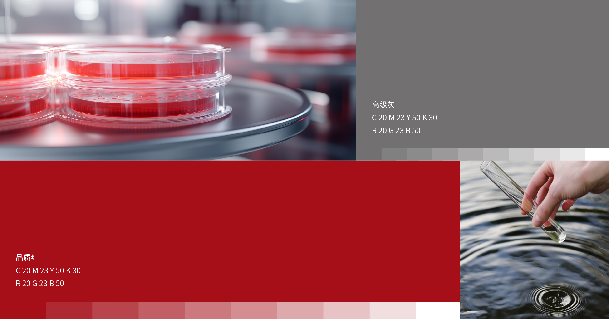 莱伯泰科案例图04