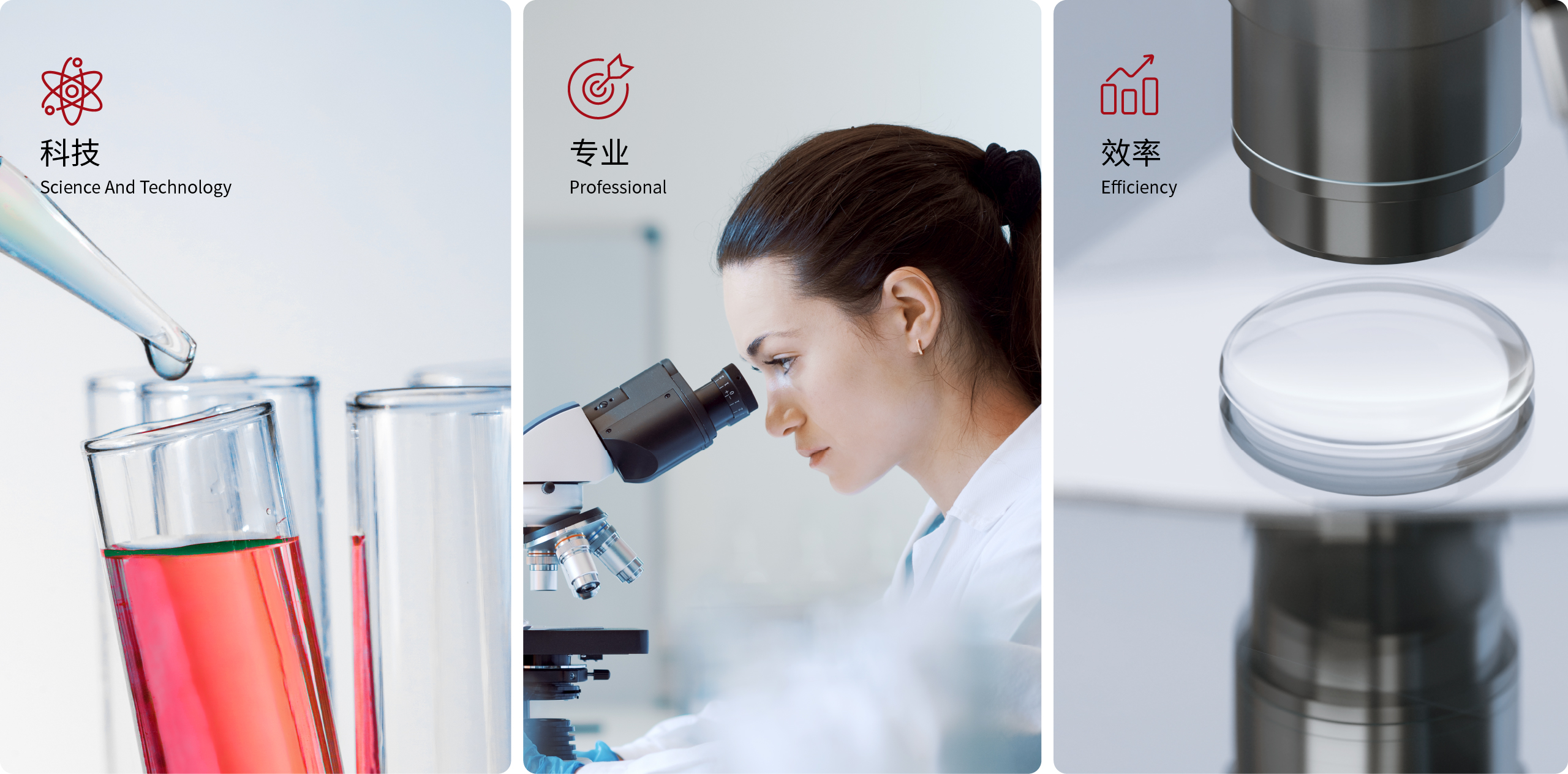 莱伯泰科案例图15