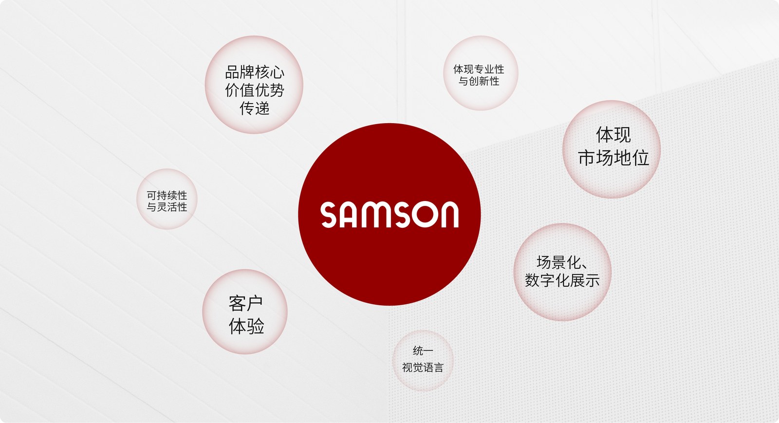 SAMSON案例展示图04